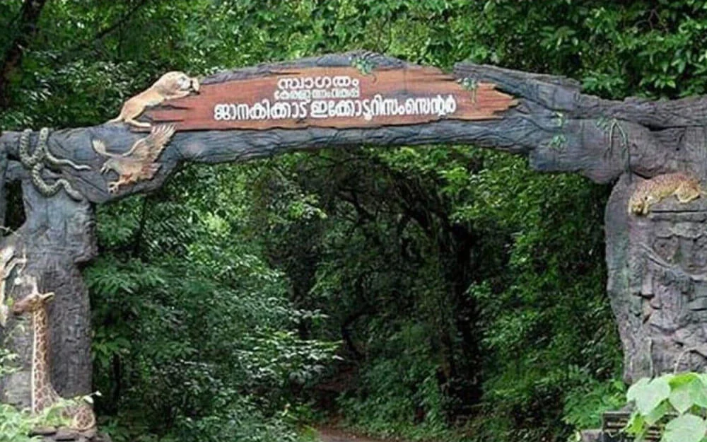 Vayalada Valley View Resort Best Resort in Calicut