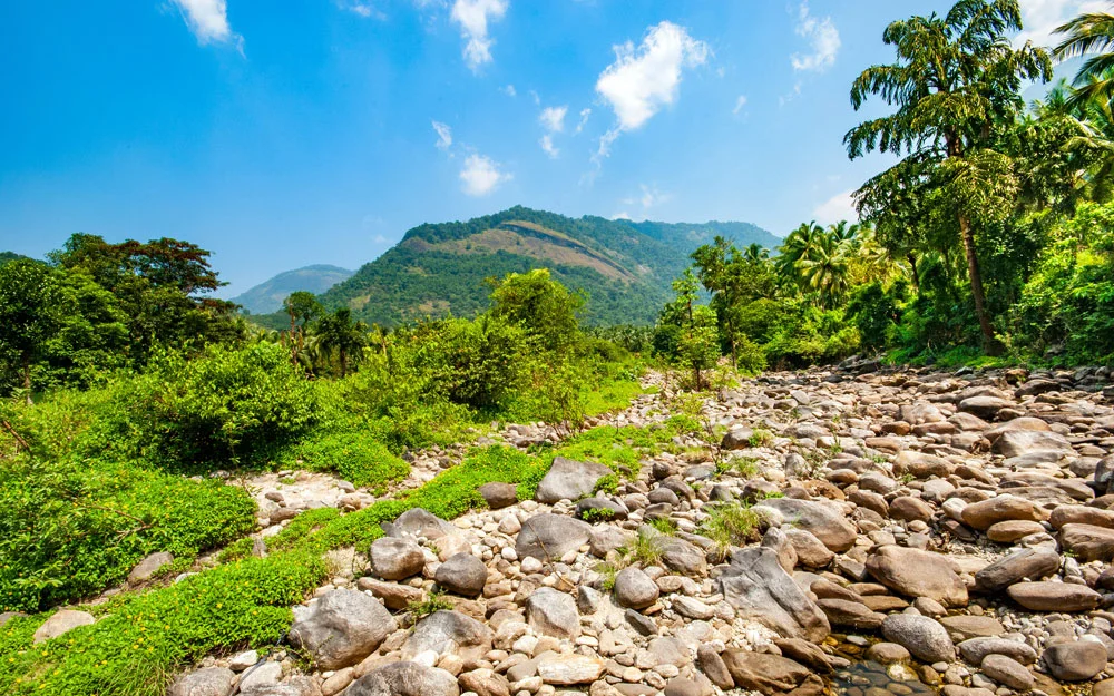Vayalada Valley View Resort Best Resort in Calicut