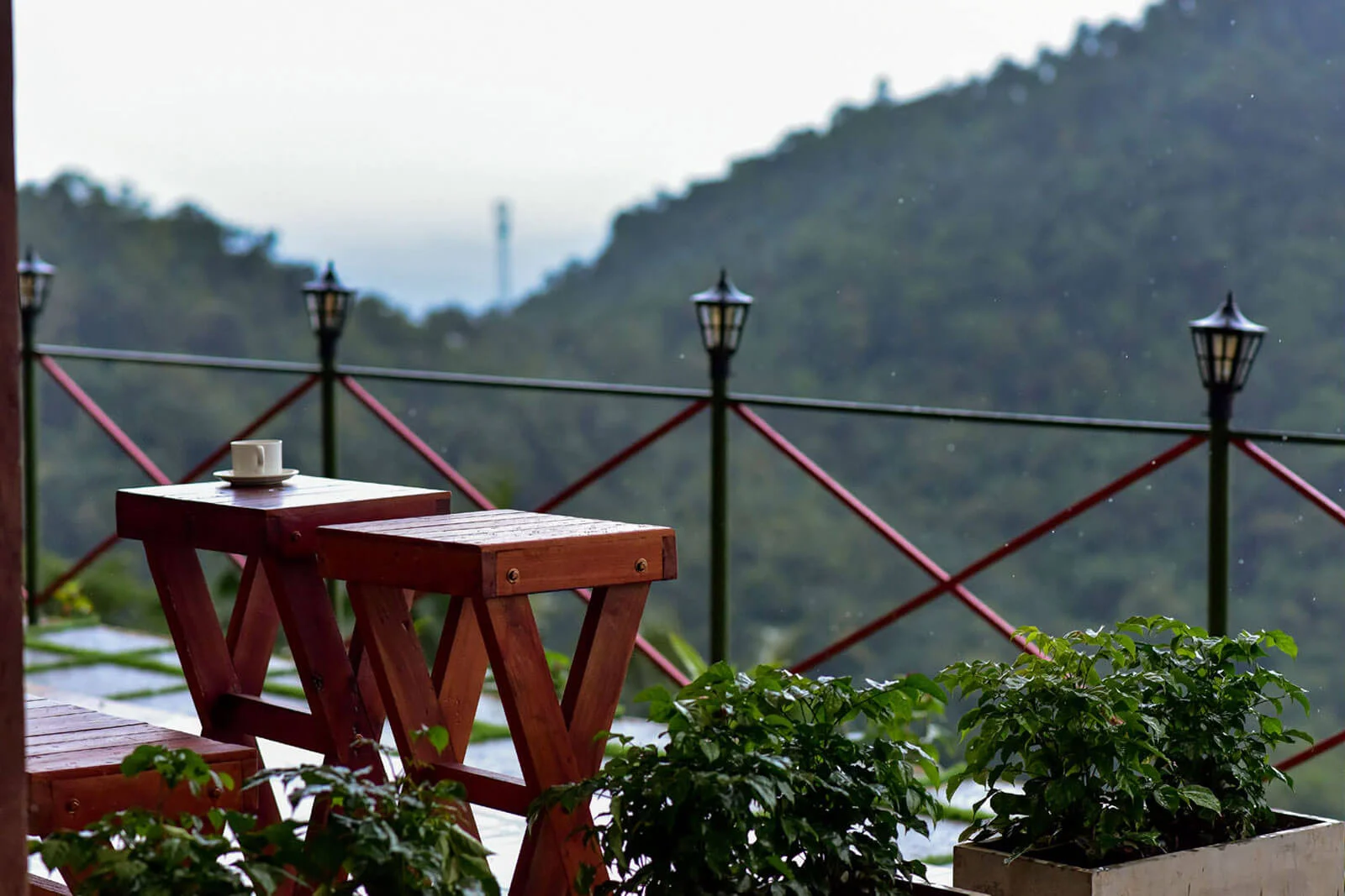 Vayalada Valley View Resort Best Resort in Calicut