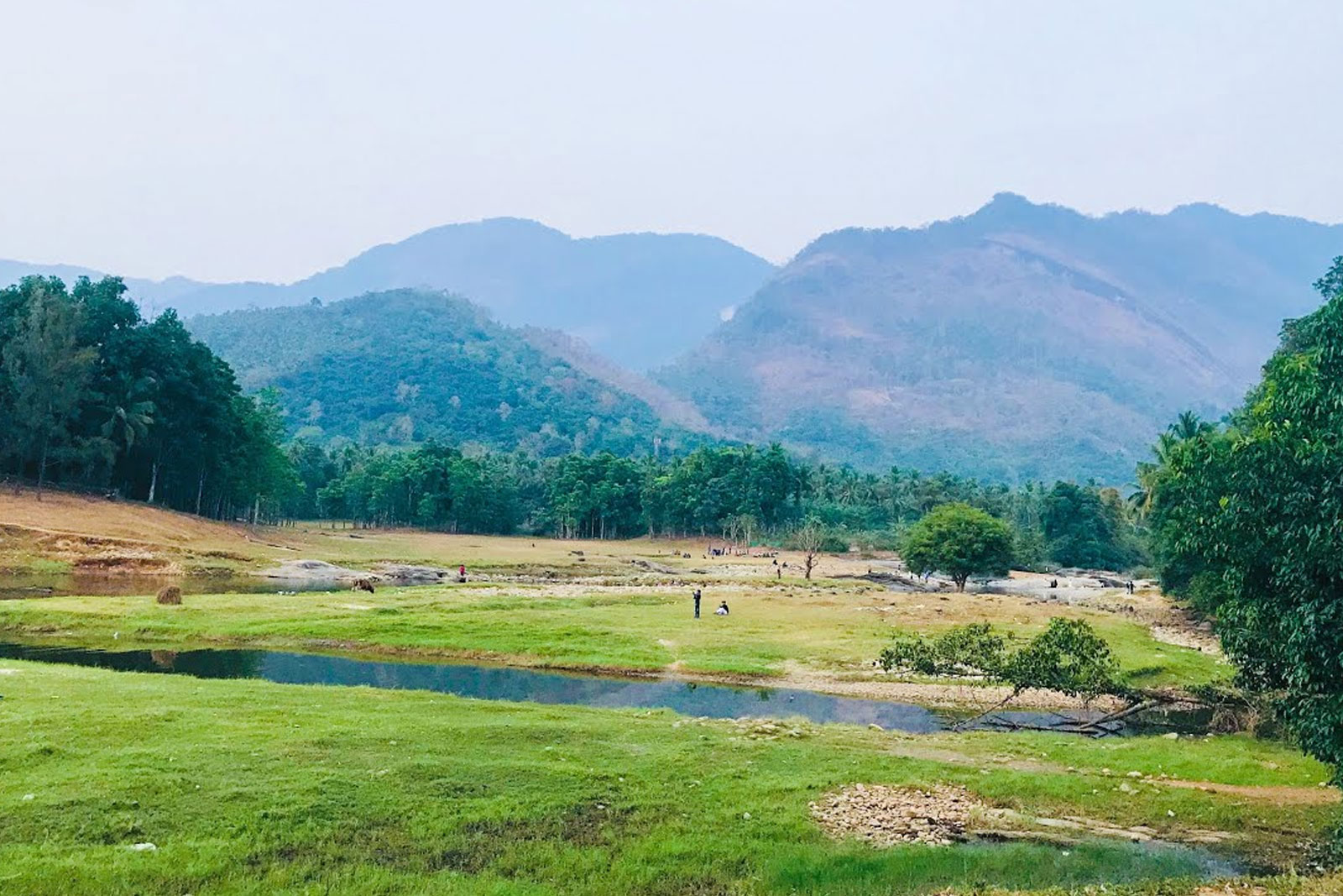 Vayalada Valley View Resort
