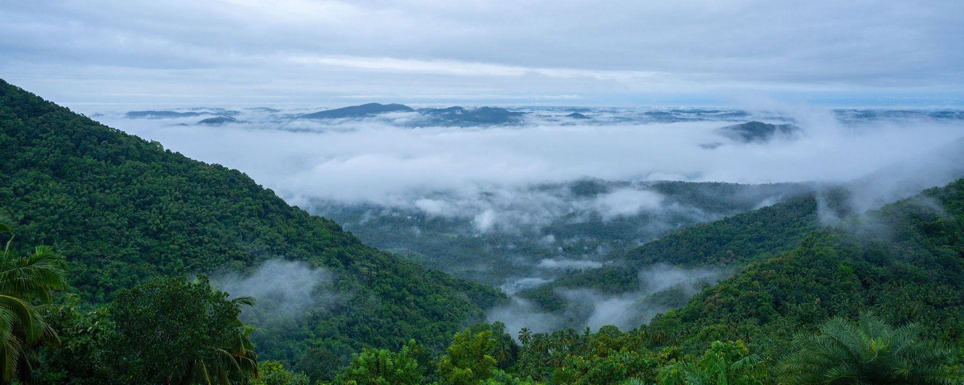 best valley view room in calicut banner image